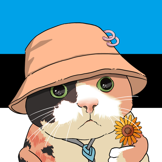 Puzzled cat #4906