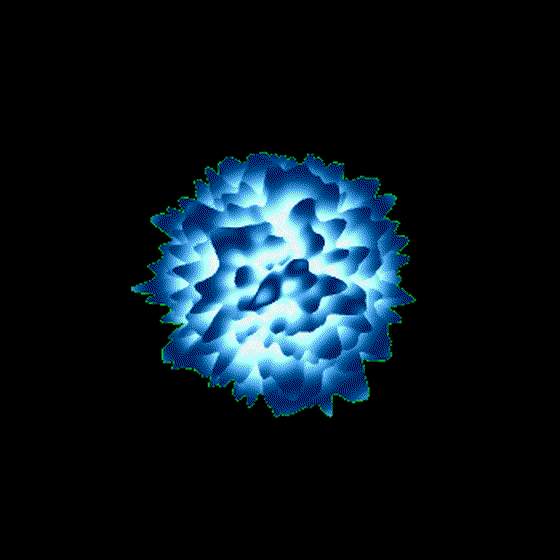 0x520c's Heartbeat