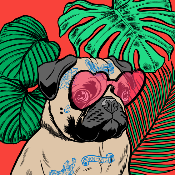 Thug Pug #901