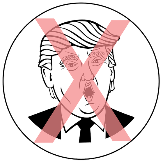 nTrump: 2020 Catnip Commemorative NO Trump Token