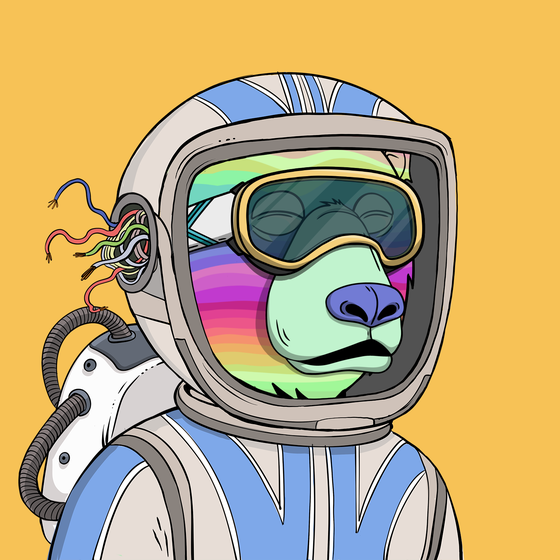 Okay Space Bear #1622