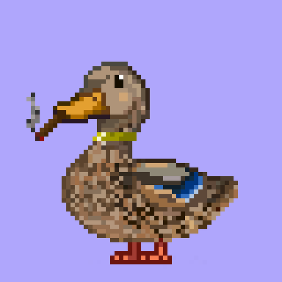 Mallard #9879