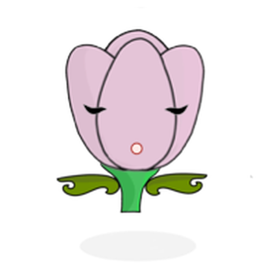 Tulipa chroma