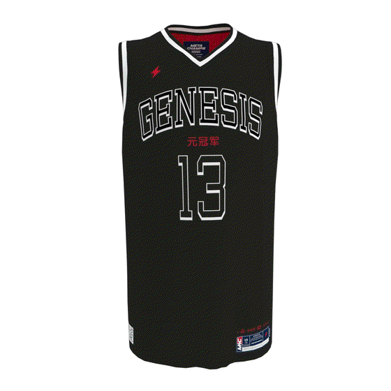 Alt Jersey #13