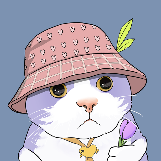 Puzzled cat #5025