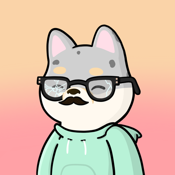 Shibe #1653