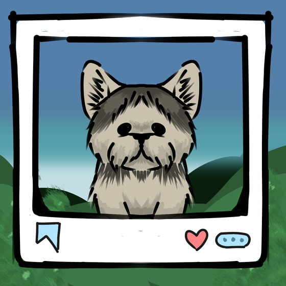 旅する犬 #915