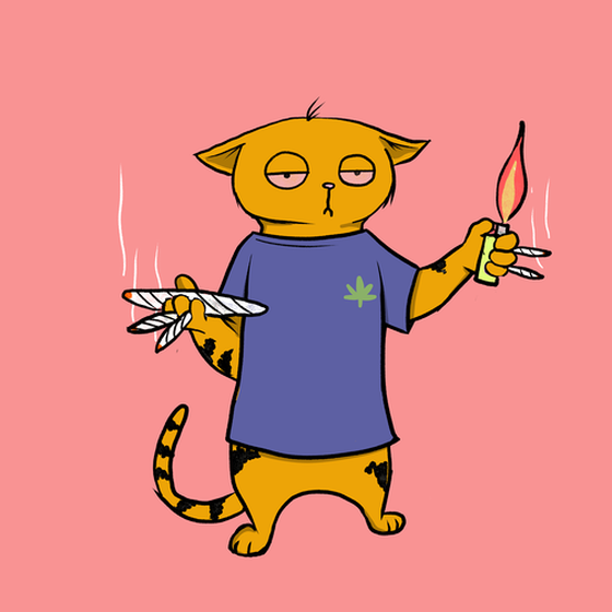 Blazed Cat #9497