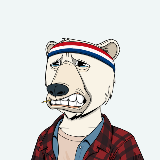 Cope Bear #7313