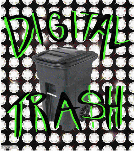 DIGITAL TRASH: HISTORICAL ACCOUNTS FROM THE BIRTH OF THE TRASH GIF REVOLUTION TO THE DAWN OF THE SPAM ART REBELLION ( A BRIEF HISTORY OF THE DEGENERATIVE ARTS)