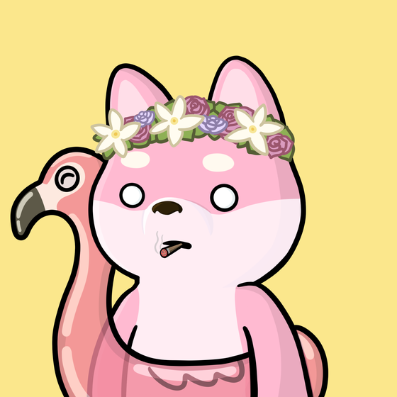 Shibe #2168