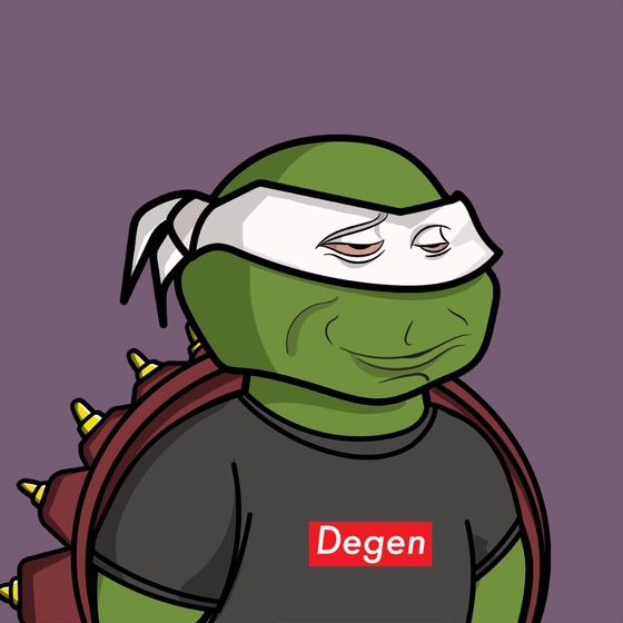 Degen Ninja Turtle #639