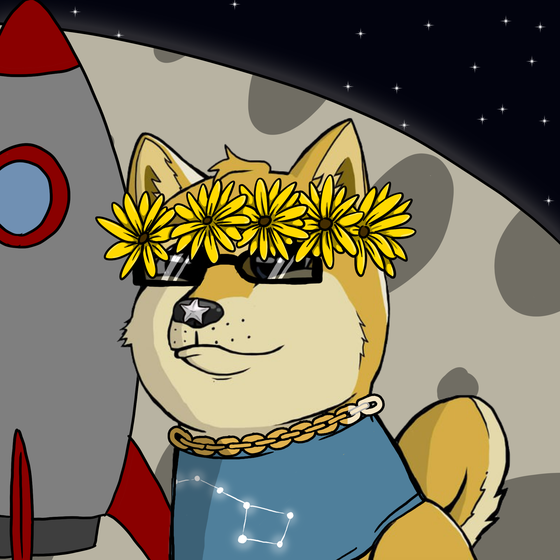 DogeXJR#1089