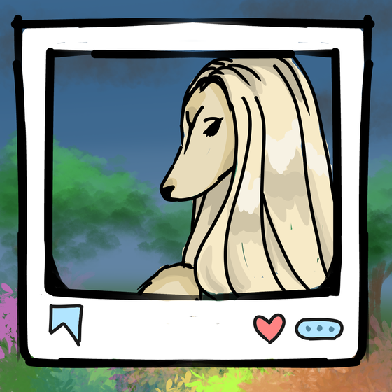 旅する犬 #45