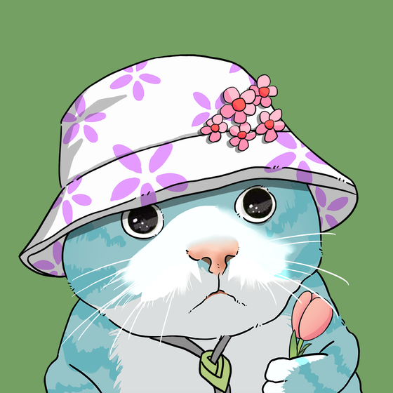 Puzzled cat #867