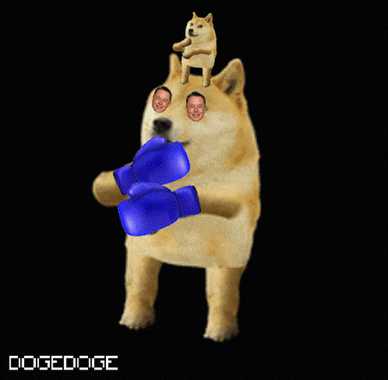 DOGEDOGE #1236