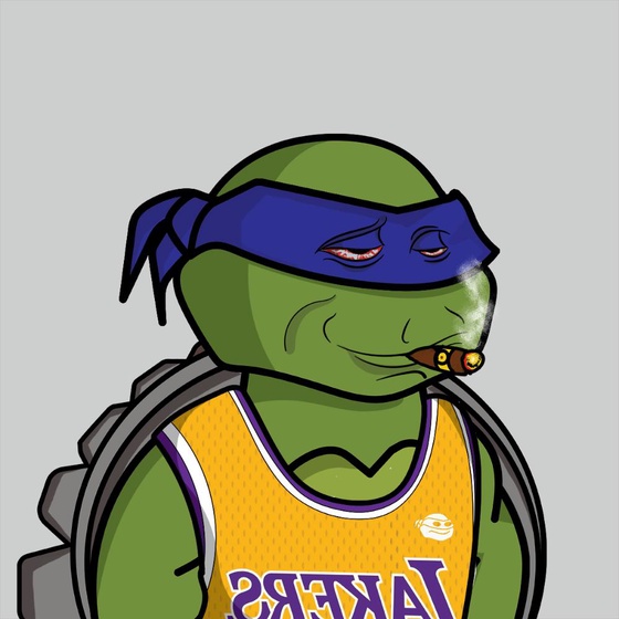 Degen Ninja Turtle #4658