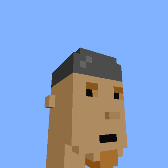 PunkVoxels #3817