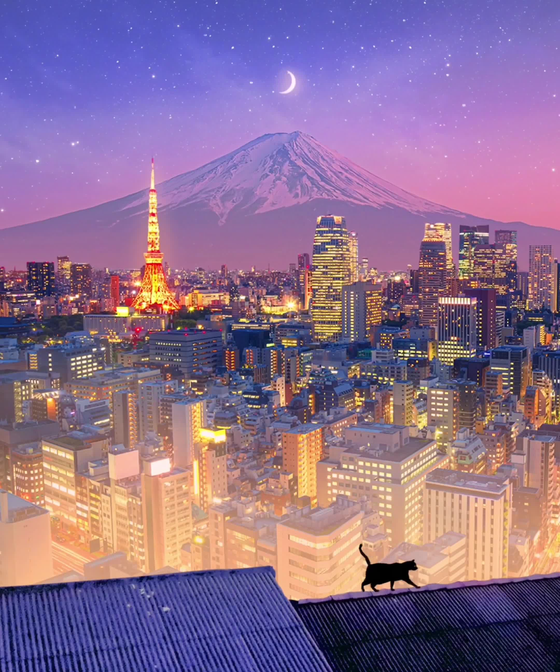 The Cat In Tokyo #1/3