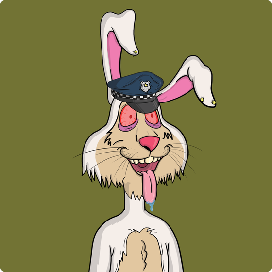 Rogue Rabbit #217