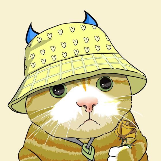 Puzzled cat #3749