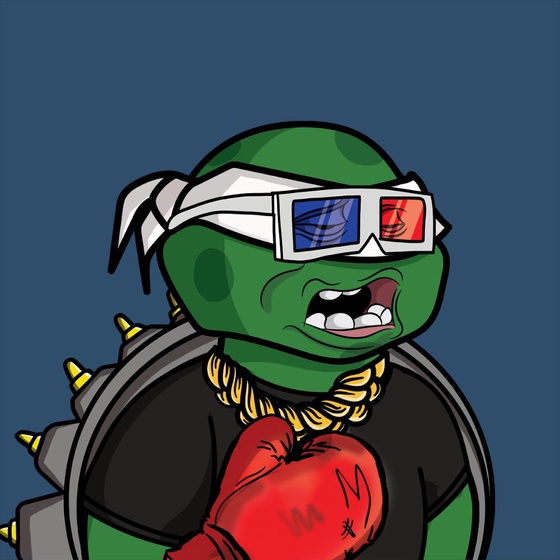 Degen Ninja Turtle #848