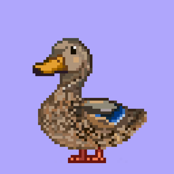 Mallard #771