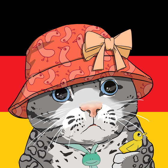 Puzzled cat #4559
