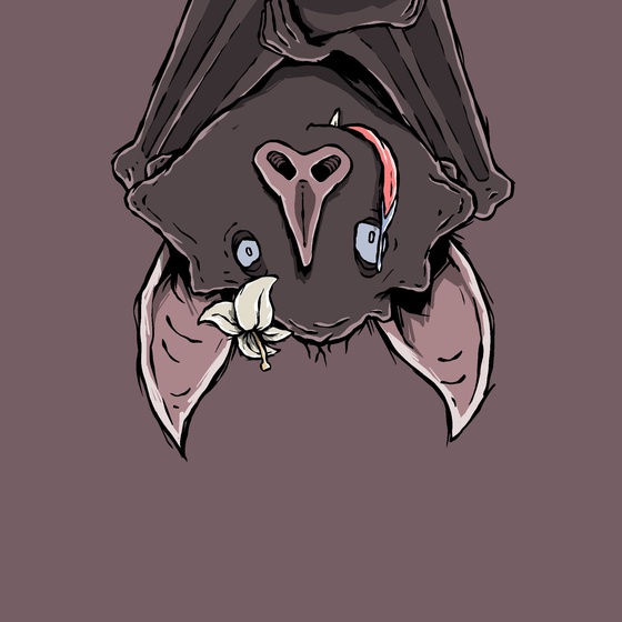 Moon Bats #3811