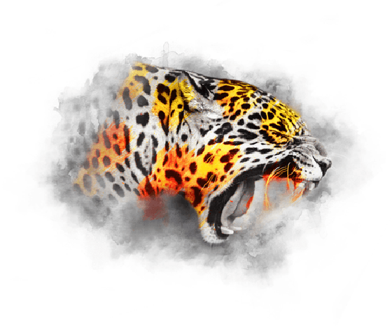 FIRE SERIES - JAGUAR