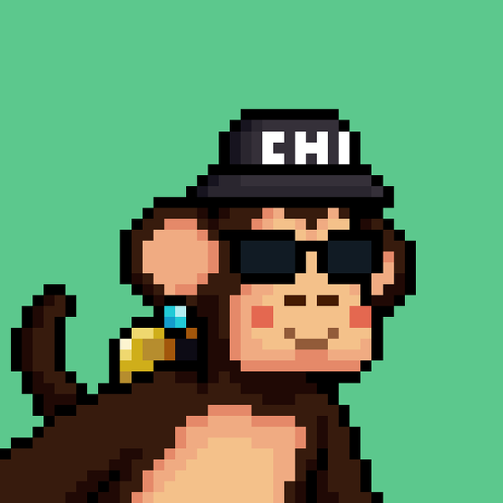 Just Chimps #1698