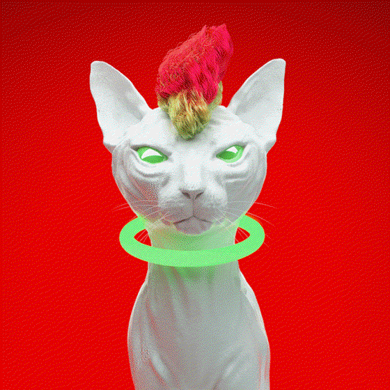 Sphynx SPIRIT / Digital pet