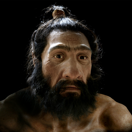 Homo neanderthalensis: Hominin #12