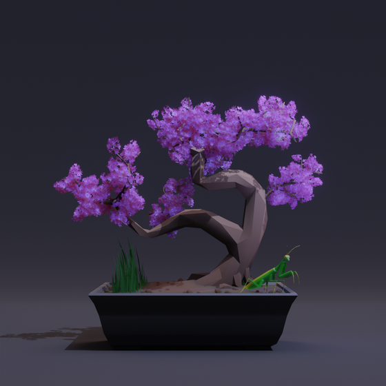 Bonsai #5655