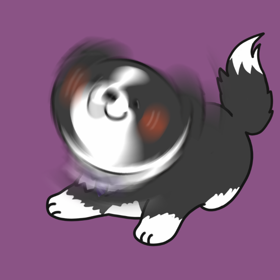 DogDrill#1015