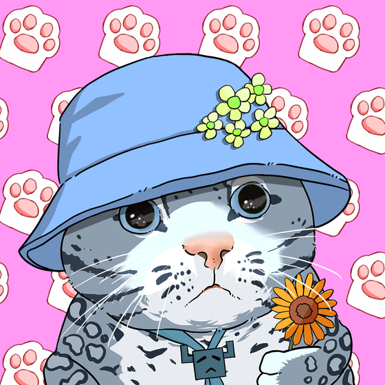 Puzzled cat #3591