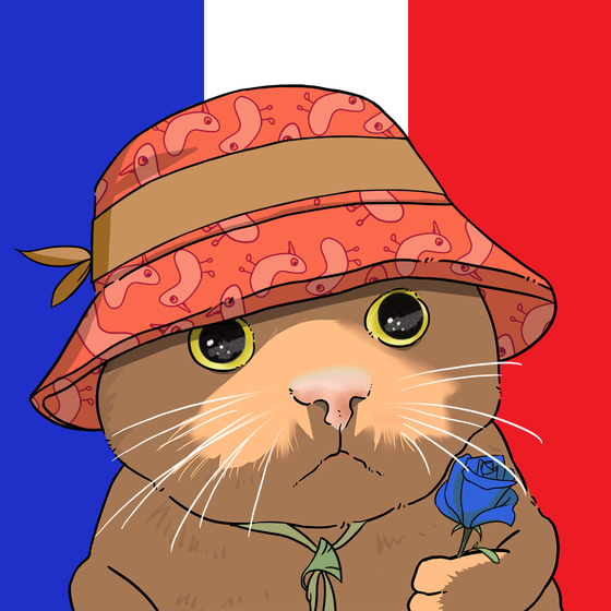 Puzzled cat #3156