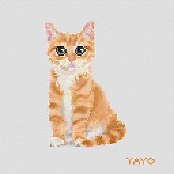 YAYO CHEESE TABBY