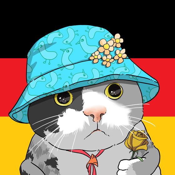 Puzzled cat #709