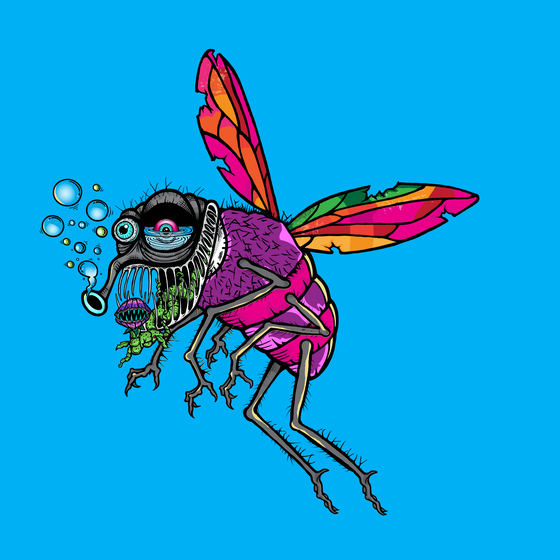 Funky Fly #2673