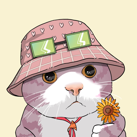 Puzzled cat #704