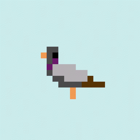 Crypto Pigeon #15