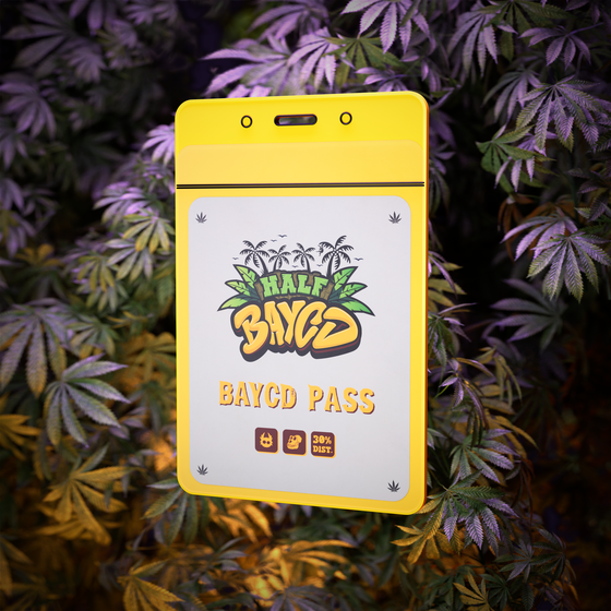 Half BAYCD: BAYCD Pass