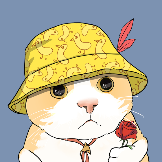 Puzzled cat #7445
