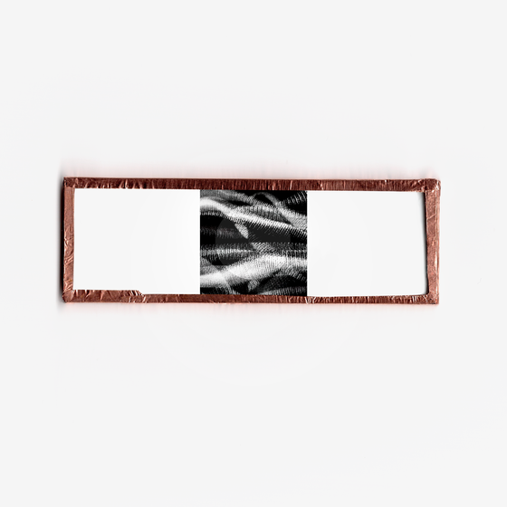 GXF MICRO-SLIDE FINGERPRINT