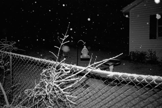 A Night In The Snow #05