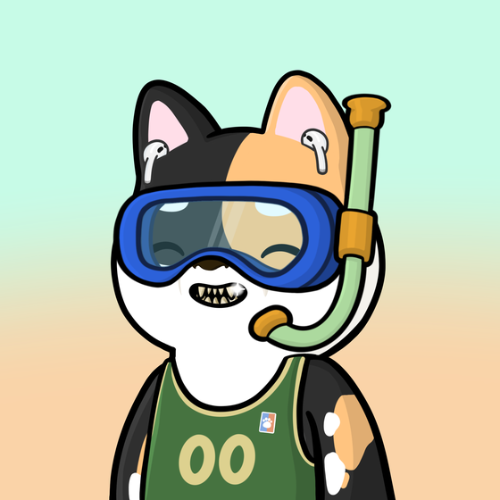 Shibe #2372
