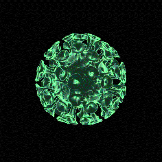 VIRUS #06