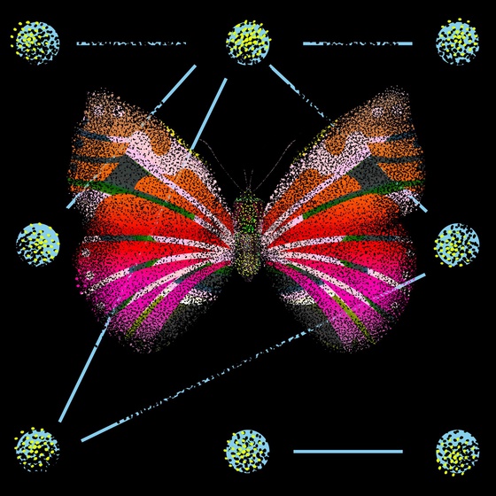 Monarch #827