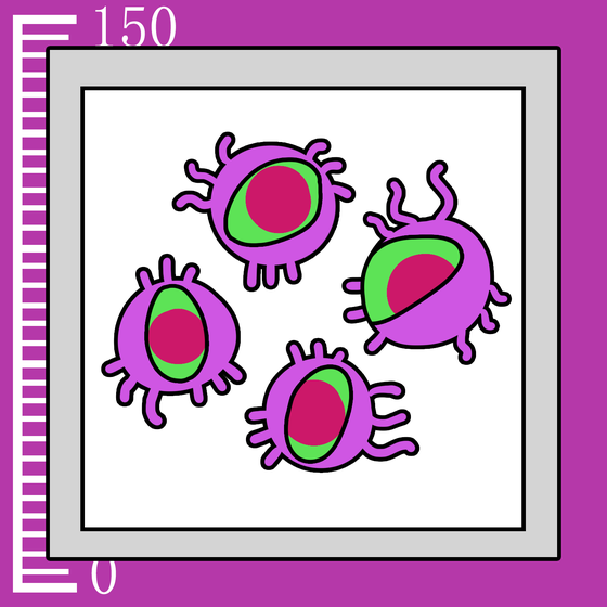 149
